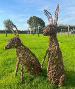 Hare Sculpture Workshops