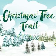 12 Willow Christmas Trees to find