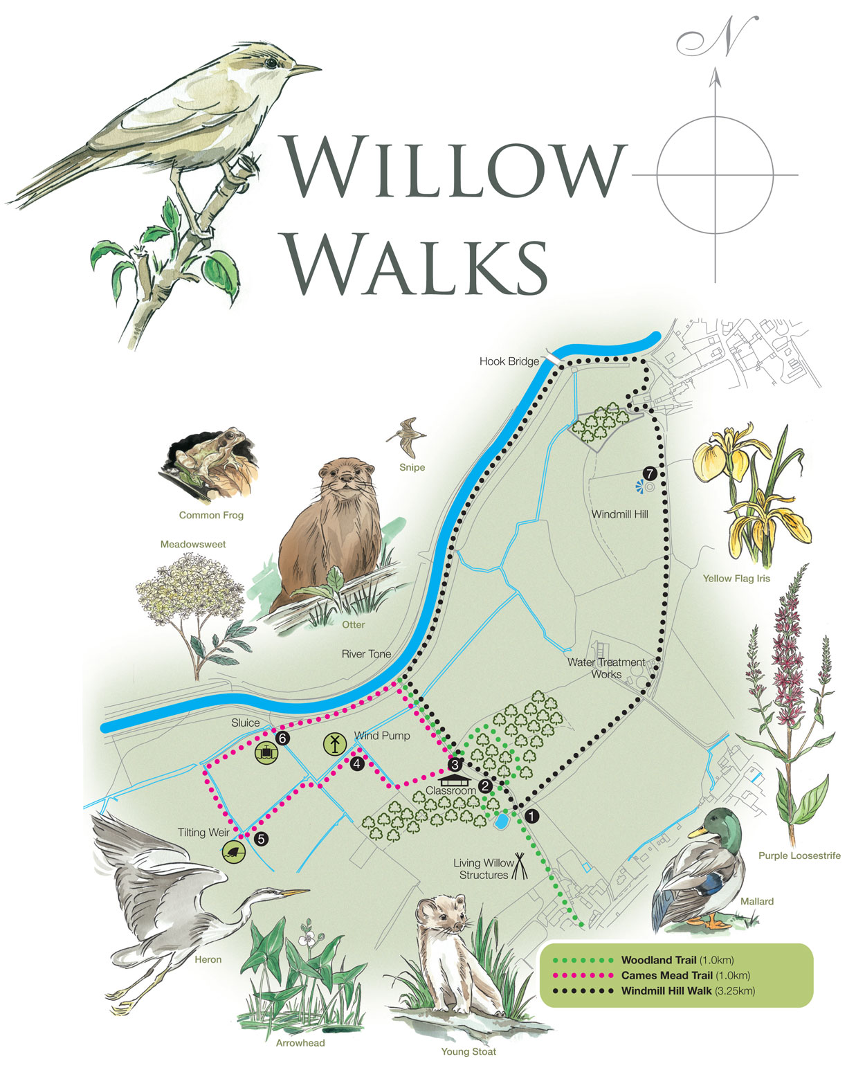 Willow Walks map