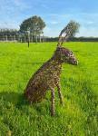 Hare Sculpture Workshop