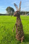 Hare Sculpture Workshop