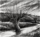 Kate Lynch Charcoal Drawing Workshop
