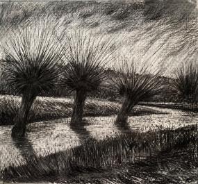Kate Lynch Charcoal Drawing Workshop