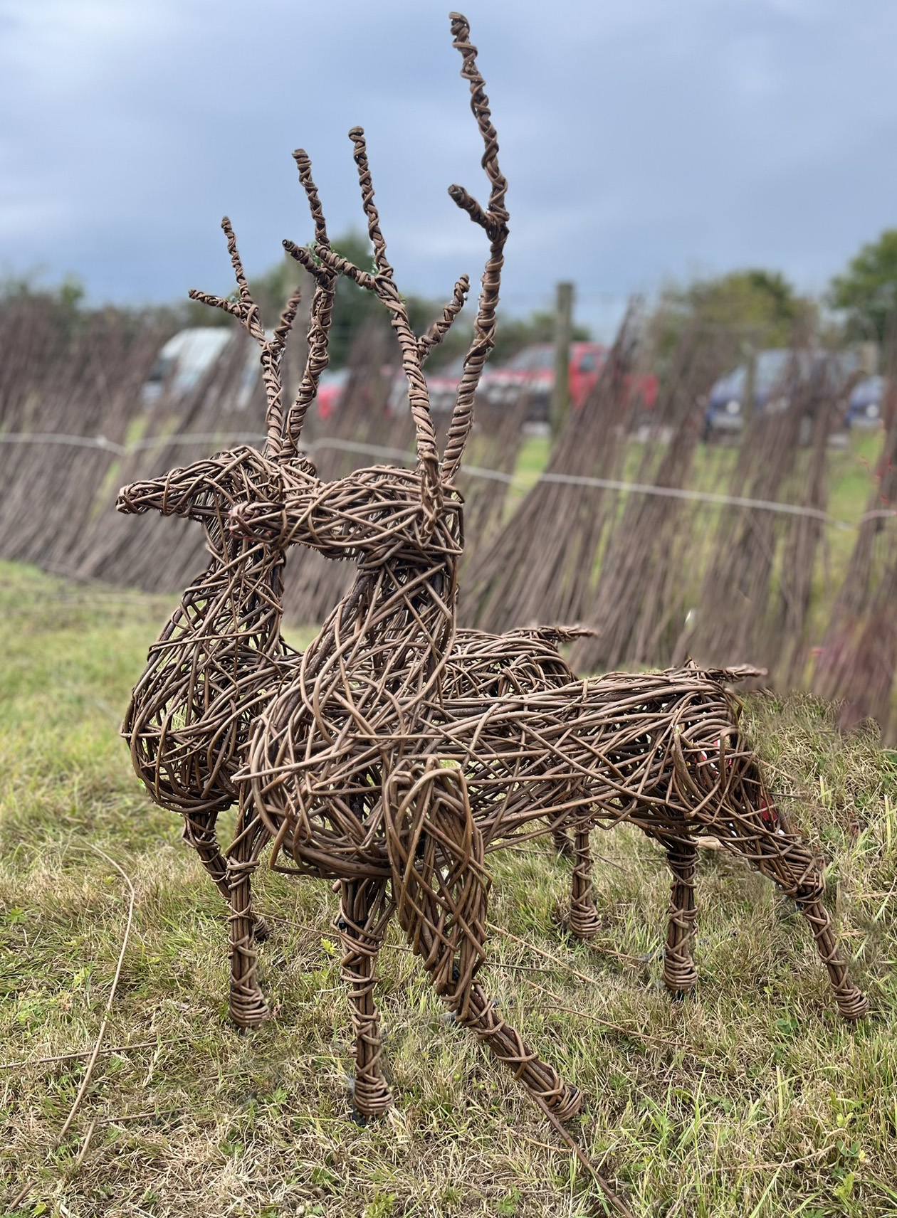 Willow Deer Workshop
