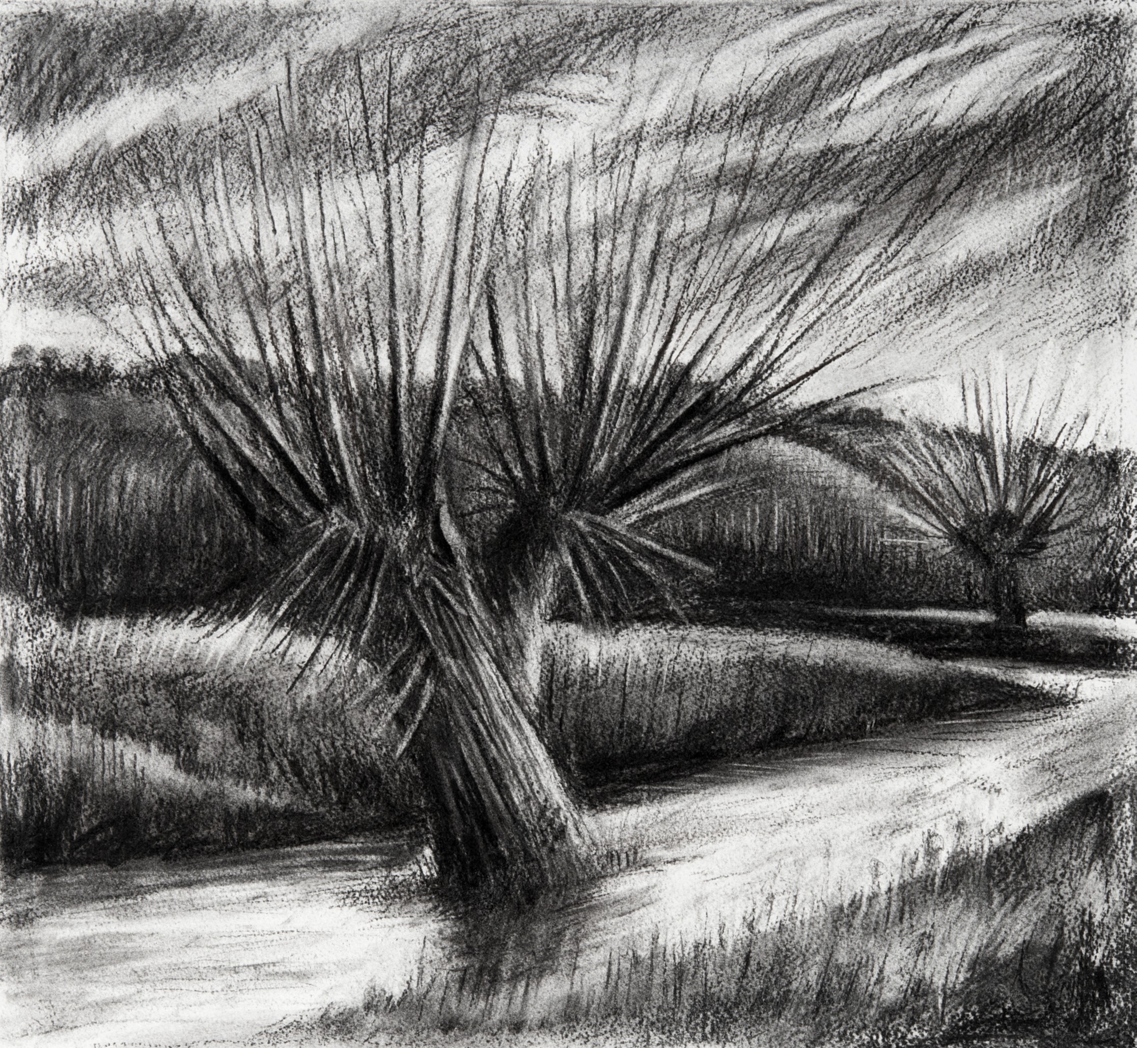 Kate Lynch Charcoal Drawing Workshop