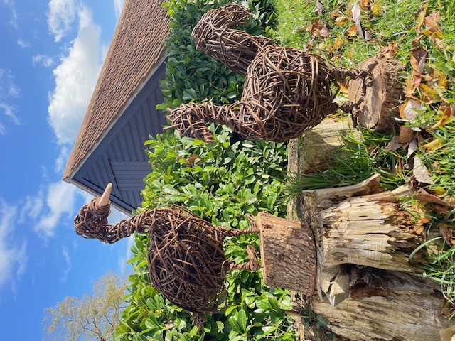 Duck or Chicken Sculpture Workshop