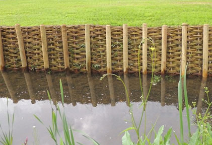 Willow for River Bank Stabilisation